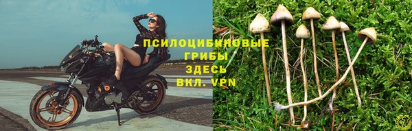 трава Краснотурьинск