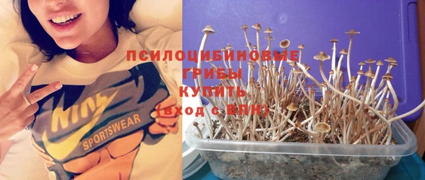 трава Краснотурьинск