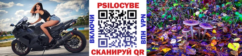 Псилоцибиновые грибы Psilocybine cubensis  Купить где  Сковородино 
