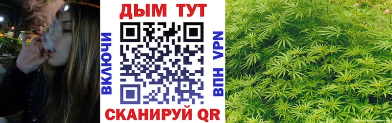 Марихуана VHQ  Купить где  Сковородино 